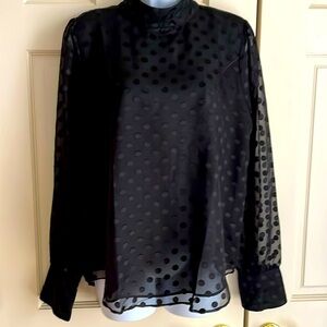 Women’s Ann Taylor Blouse, sheer black with lined bodice